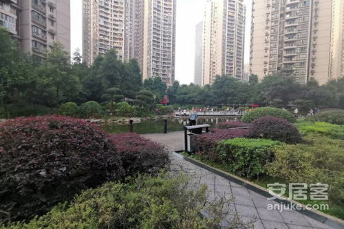 上海城优点 不足,上海城怎么样,上海城周边房产中介经纪人评价